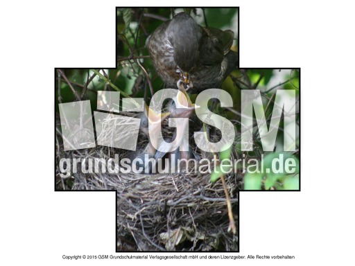 Faltform-Amsel 1.pdf